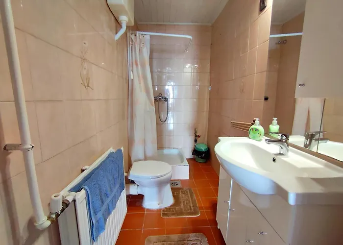 Delden Appartement *